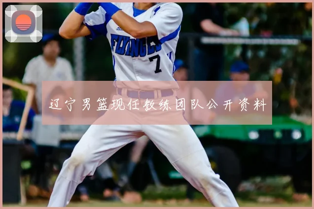 辽宁男篮现任教练团队公开资料