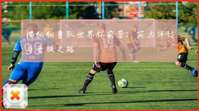 揭秘秘鲁队世界杯前景：实力评估与晋级之路