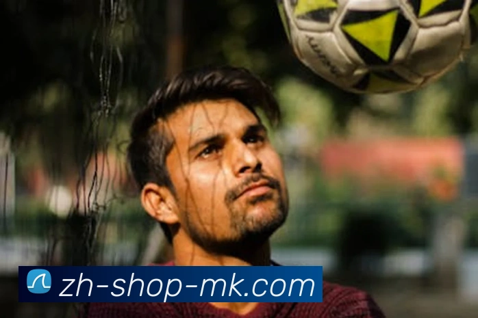 MK体育平台生态图